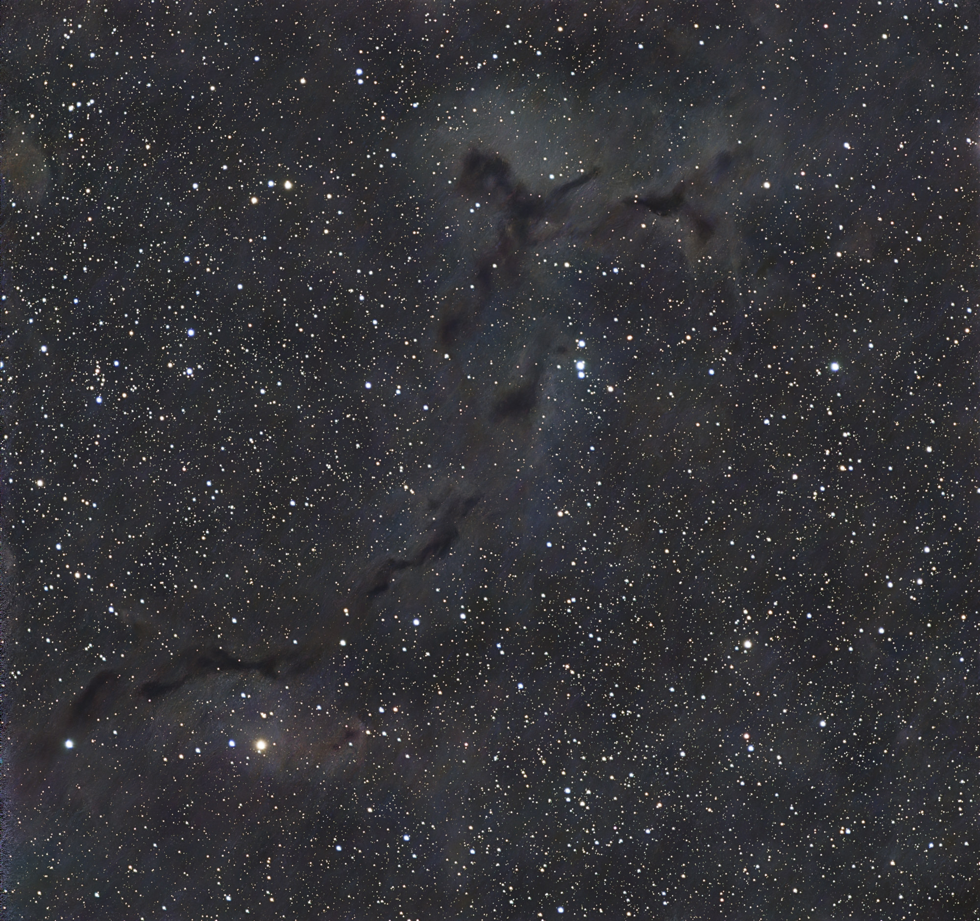 Barnard 150 is a dark nebula visible in Cepheus constellation. It is also known as the Seahorse Nebula due to its shape.